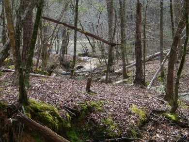 NICE 2.68 Acre Waterfront Lot @ Lake Russell - photo 13