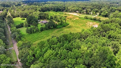 Rare opportunity to own approximately 17.65+/- acres in Brandon - photo 5