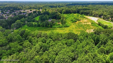 Rare opportunity to own approximately 17.65+/- acres in Brandon - photo 6
