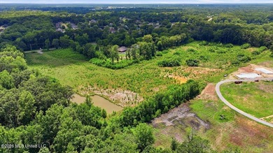 Rare opportunity to own approximately 17.65+/- acres in Brandon - photo 7