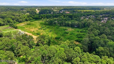 Rare opportunity to own approximately 17.65+/- acres in Brandon - photo 8