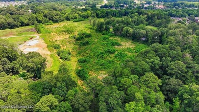 Rare opportunity to own approximately 17.65+/- acres in Brandon - photo 9
