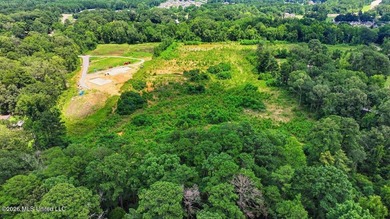 Rare opportunity to own approximately 17.65+/- acres in Brandon - photo 10