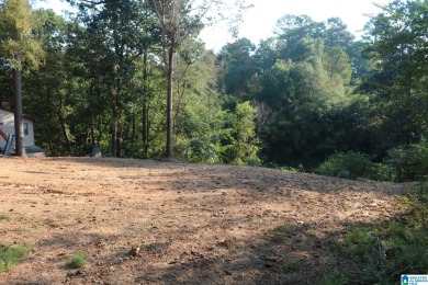 Bankhead Lake Lot For Sale in Bessemer Alabama