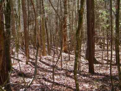 NICE 2.68 Acre Waterfront Lot @ Lake Russell - photo 6