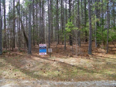 NICE 2.68 Acre Waterfront Lot @ Lake Russell - photo 3