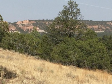 Ramah Reservoir Acreage For Sale in Ramah New Mexico