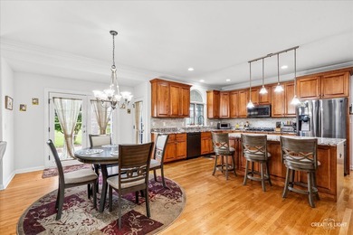 Absolutely beautiful brick front home located in one of Elgin's - photo 11