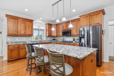 Absolutely beautiful brick front home located in one of Elgin's - photo 12