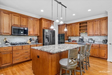 Absolutely beautiful brick front home located in one of Elgin's - photo 13