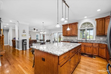 Absolutely beautiful brick front home located in one of Elgin's - photo 14