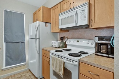 Unique opportunity-- Fully Furnished Corner Condo with - photo 5