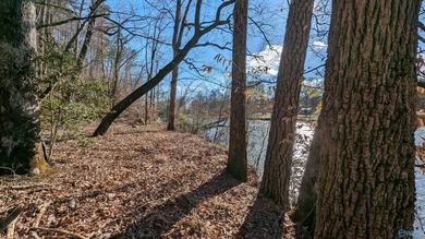 Beautiful Waterfront building lot in the gated community of The - photo 4