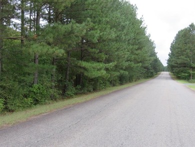 PREMIER ACREAGE WITHIN WALKING DISTANCE TO THE ARKANSAS RIVER - photo 5