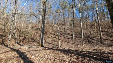 Beautiful Waterfront building lot in the gated community of The - photo 5