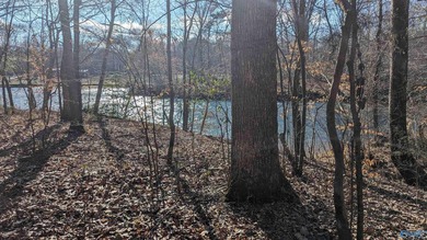 Beautiful Waterfront building lot in the gated community of The - photo 2