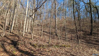 Beautiful Waterfront building lot in the gated community of The - photo 3