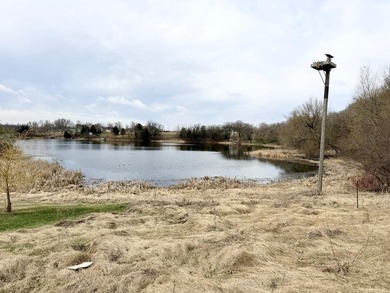 Build your dream home on this almost 2 acre lot tucked into a - photo 3