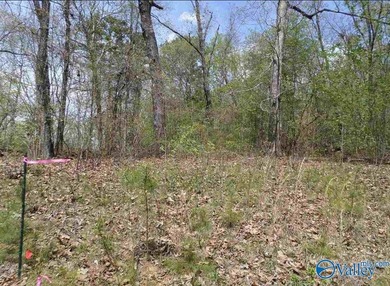 Beautiful Waterfront building lot in the gated community of The - photo 4