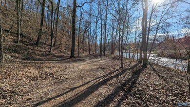 Beautiful Waterfront building lot in the gated community of The - photo 5
