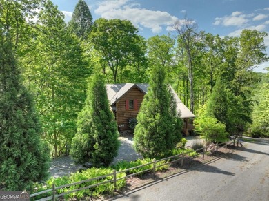 Lake Home For Sale in Blue Ridge, Georgia