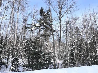 Lot 21 on Butternut Circle-Come and enjoy the peace and quiet of - photo 11