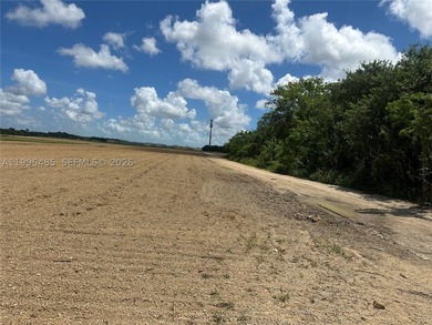 15.6 ACRE LONGAN GROVE, MATURE TREES, FULLY FENCED AND GATED - photo 13
