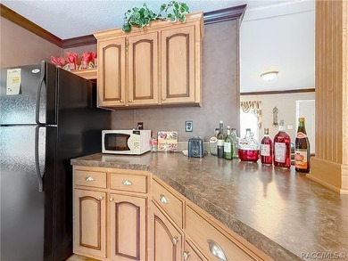 Welcome home to your own private retreat in Homosassa! Nestled - photo 13