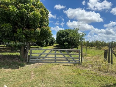 15.6 ACRE LONGAN GROVE, MATURE TREES, FULLY FENCED AND GATED - photo 15