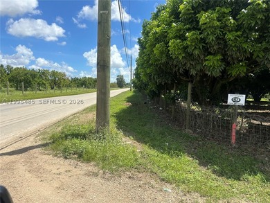 15.6 ACRE LONGAN GROVE, MATURE TREES, FULLY FENCED AND GATED - photo 18