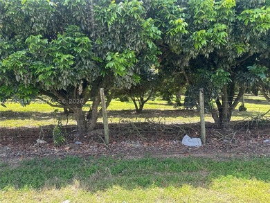 15.6 ACRE LONGAN GROVE, MATURE TREES, FULLY FENCED AND GATED - photo 21