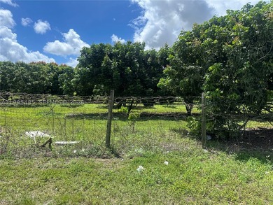 15.6 ACRE LONGAN GROVE, MATURE TREES, FULLY FENCED AND GATED - photo 22