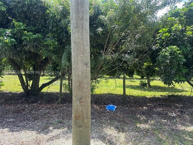 15.6 ACRE LONGAN GROVE, MATURE TREES, FULLY FENCED AND GATED - photo 25