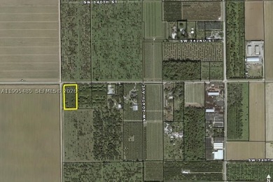 15.6 ACRE LONGAN GROVE, MATURE TREES, FULLY FENCED AND GATED - photo 27