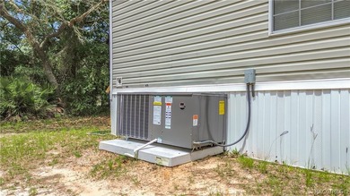 Welcome home to your own private retreat in Homosassa! Nestled - photo 38