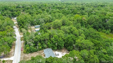 Welcome home to your own private retreat in Homosassa! Nestled - photo 39