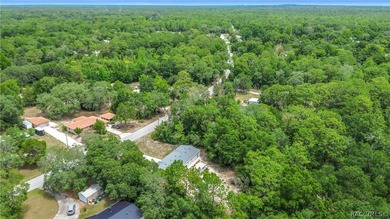 Welcome home to your own private retreat in Homosassa! Nestled - photo 40