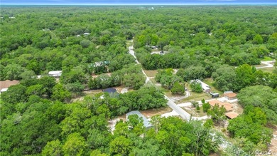Welcome home to your own private retreat in Homosassa! Nestled - photo 41