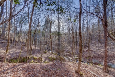 NICE 2.68 Acre Waterfront Lot @ Lake Russell - photo 10