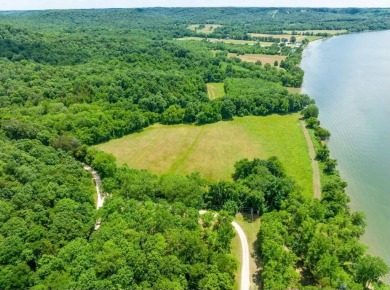 Tennessee River - Decatur County Lot For Sale in Linden Tennessee