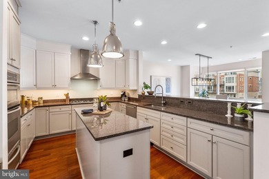 A truly exceptional opportunity to own one of Baltimore's most - photo 15