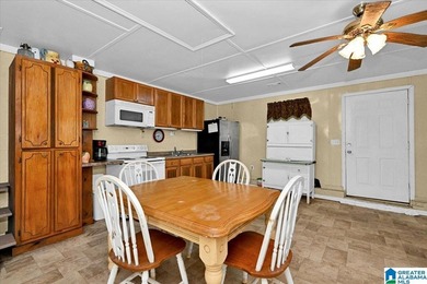 The coziest 3 bedroom 2bath home on the Black Warrior River - photo 21