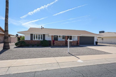 Luxury remodel in the 55+ active-adult community of Sun City - photo 22