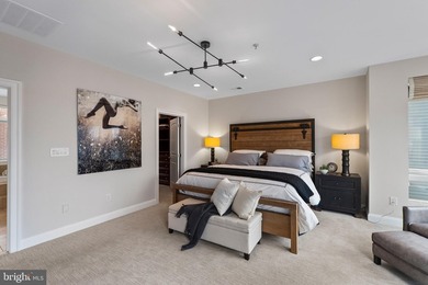 A truly exceptional opportunity to own one of Baltimore's most - photo 27