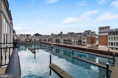 A truly exceptional opportunity to own one of Baltimore's most - photo 28