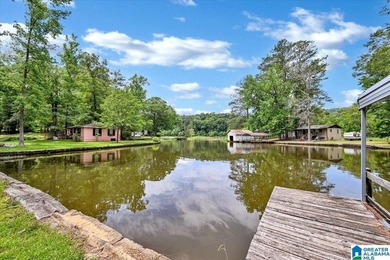 The coziest 3 bedroom 2bath home on the Black Warrior River - photo 30
