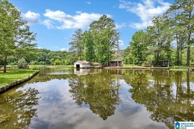 The coziest 3 bedroom 2bath home on the Black Warrior River - photo 31