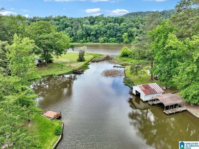 The coziest 3 bedroom 2bath home on the Black Warrior River - photo 33