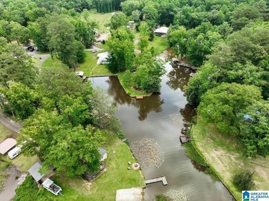 The coziest 3 bedroom 2bath home on the Black Warrior River - photo 34