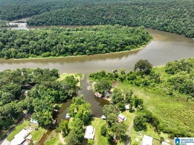 The coziest 3 bedroom 2bath home on the Black Warrior River - photo 35
